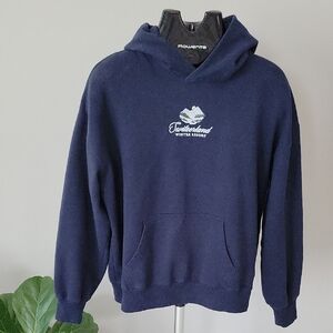 Hollister Women's Navy Hoodie